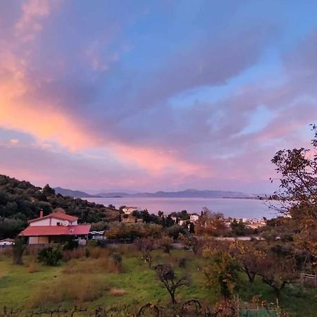 Апартаменти Ολόκληρος Όροφος Αγροτική Οικία Неос-Пірґос Екстер'єр фото