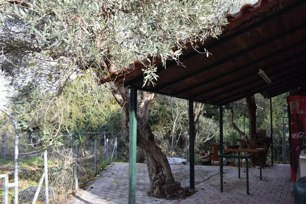 Апартаменти Ολόκληρος Όροφος Αγροτική Οικία Неос-Пірґос Екстер'єр фото